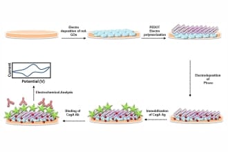  Synergistic effect of 2D material coated Pt nanoparticles with PEDOT polymer on electrode surface interface for a sensitive label free Helicobacter pylori CagA (Ag-Ab) immunosensing